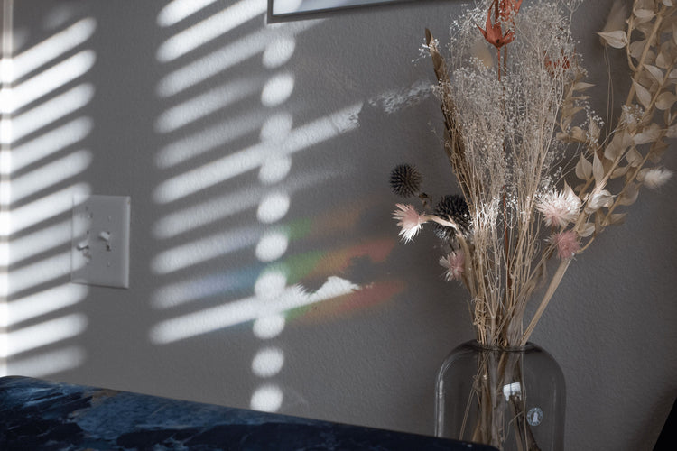 Mushroom Rainbow Catcher Window Decal